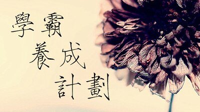 学霸养成计划