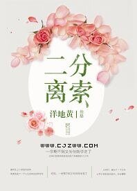 二分离索