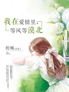 我在爱情里,等风等漠北