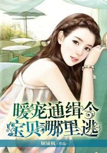 暖宠通缉令:宝贝,哪里逃!