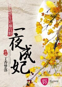 计遍宫野:一夜成妃