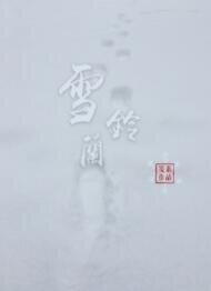 雪铃兰