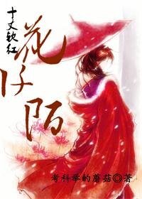 十丈钦红花阡陌