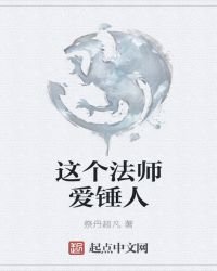 这个法师爱锤人