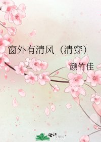 窗外有清风(清穿)
