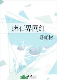 赌石界网红