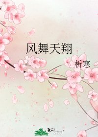 风舞天翔