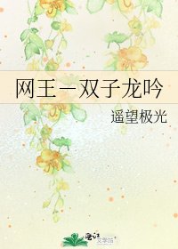 网王-双子龙吟