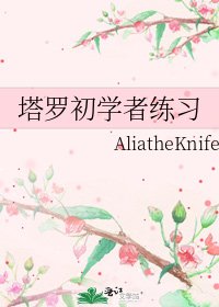 塔罗初学者练习