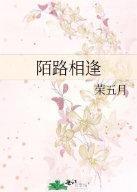 陌路相逢