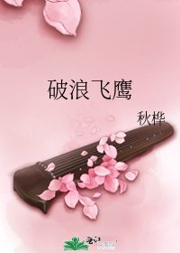 破浪飞鹰