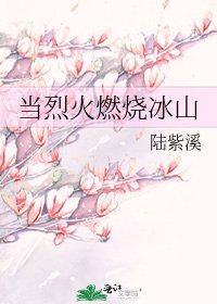 当烈火燃烧冰山