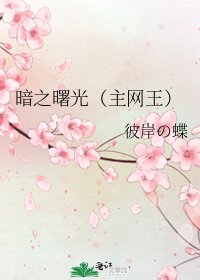 暗之曙光(主網王)