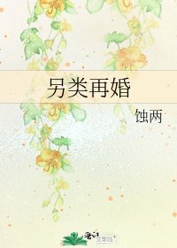 另類再婚