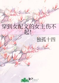 穿到女配文的女主伤不起!