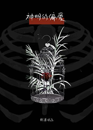被偏执神明盯上后