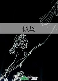 似鳥