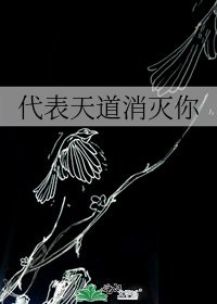 代表天道消灭你