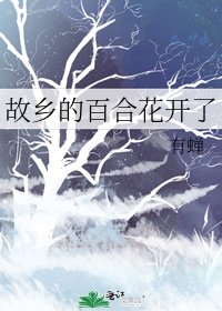 故乡的百合花开了