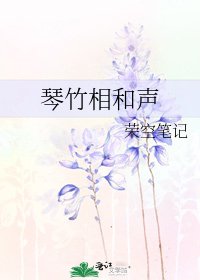 琴竹相和声