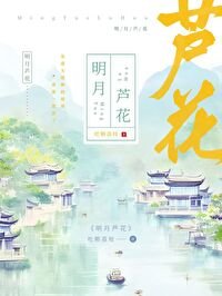 明月芦花