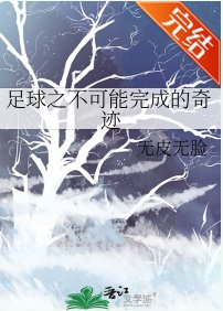 (足球同人)足球之不可能完成的奇迹