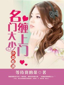 小妻难逃:名门大少缠上门