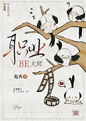 职业BE大师