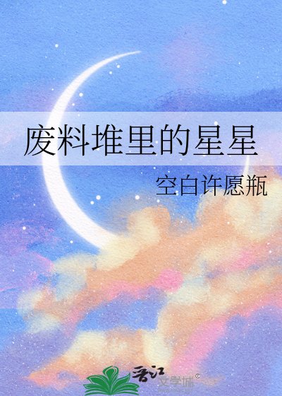废料堆里的星星