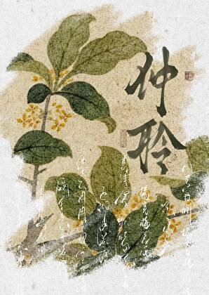 是龙傲天的恶毒青梅又如何