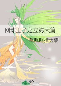 (网王同人)网球王子之立海大篇