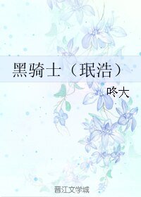 (韩娱同人)黑骑士(珉浩)
