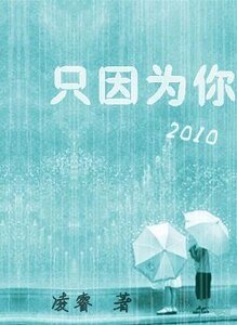只因为你「2010」(又名:只因为你「结」)